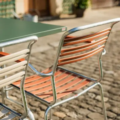 Schaffner von Moos11