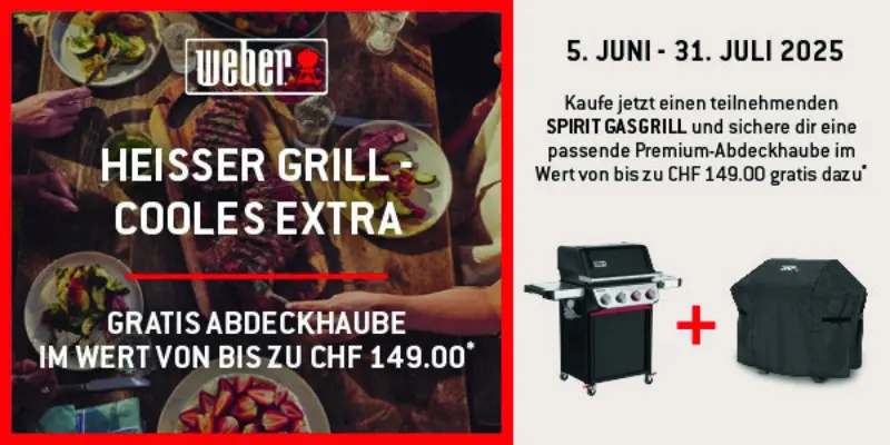 Weber Summer Sale25 Banner Ad 600x300 CHDE
