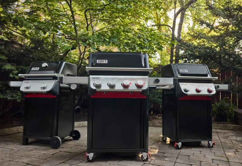 Weber Spirit Sommer 2025