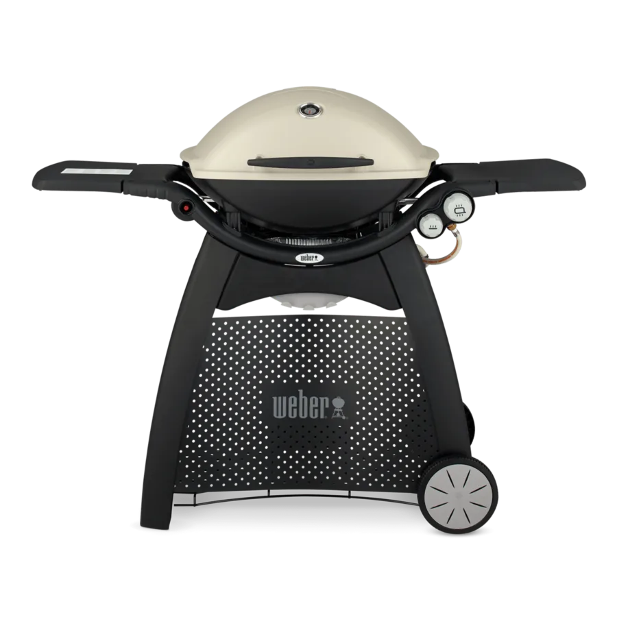Weber Q 3000 mit Rollwagen