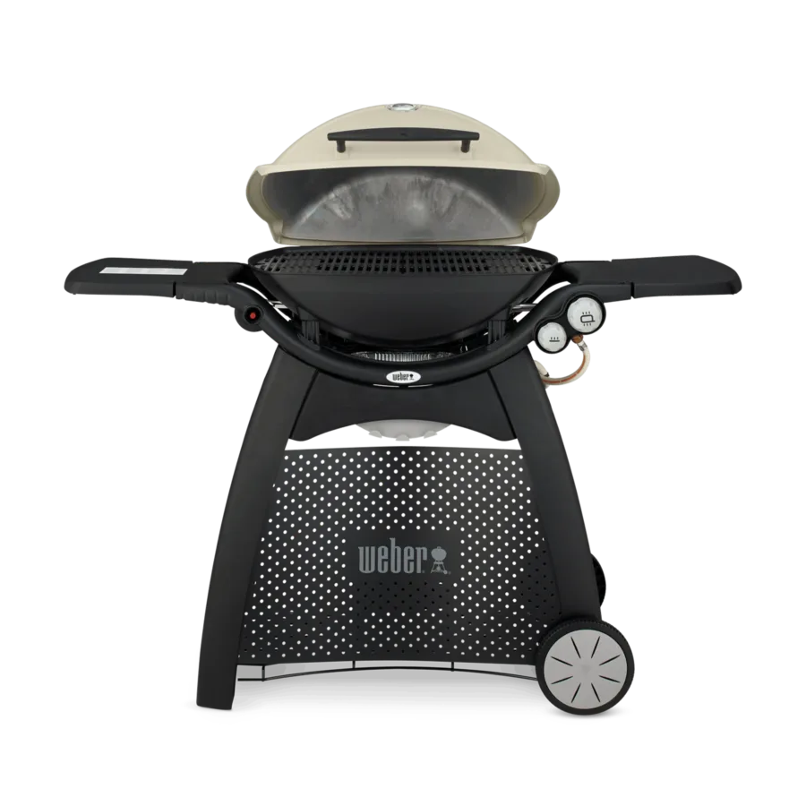 Weber Q 3000 mit Rollwagen