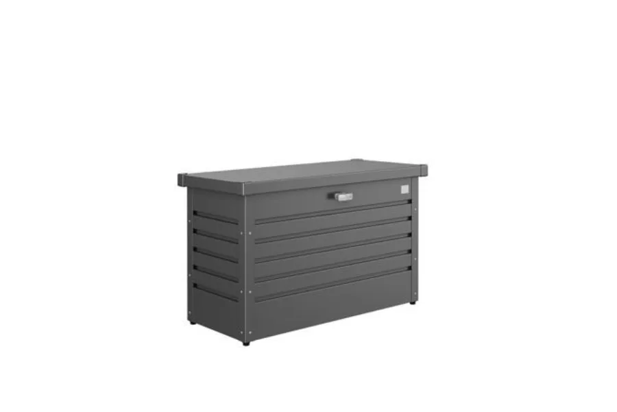 FreizeitBox 100