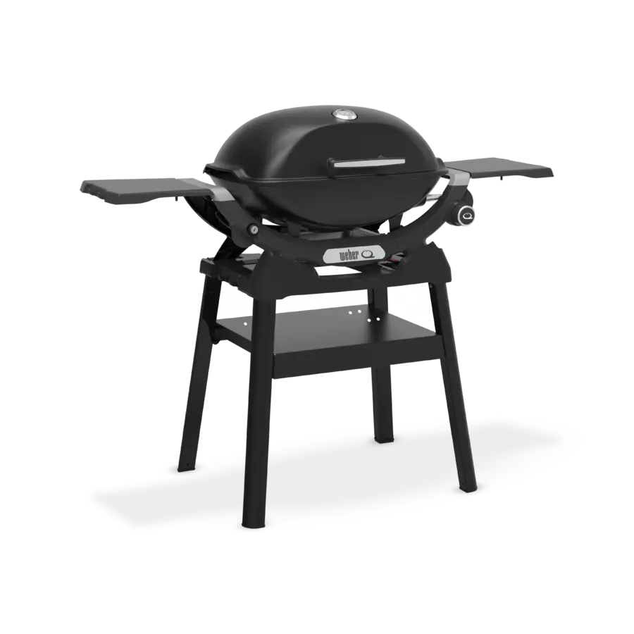 Q2200N Gasgrill