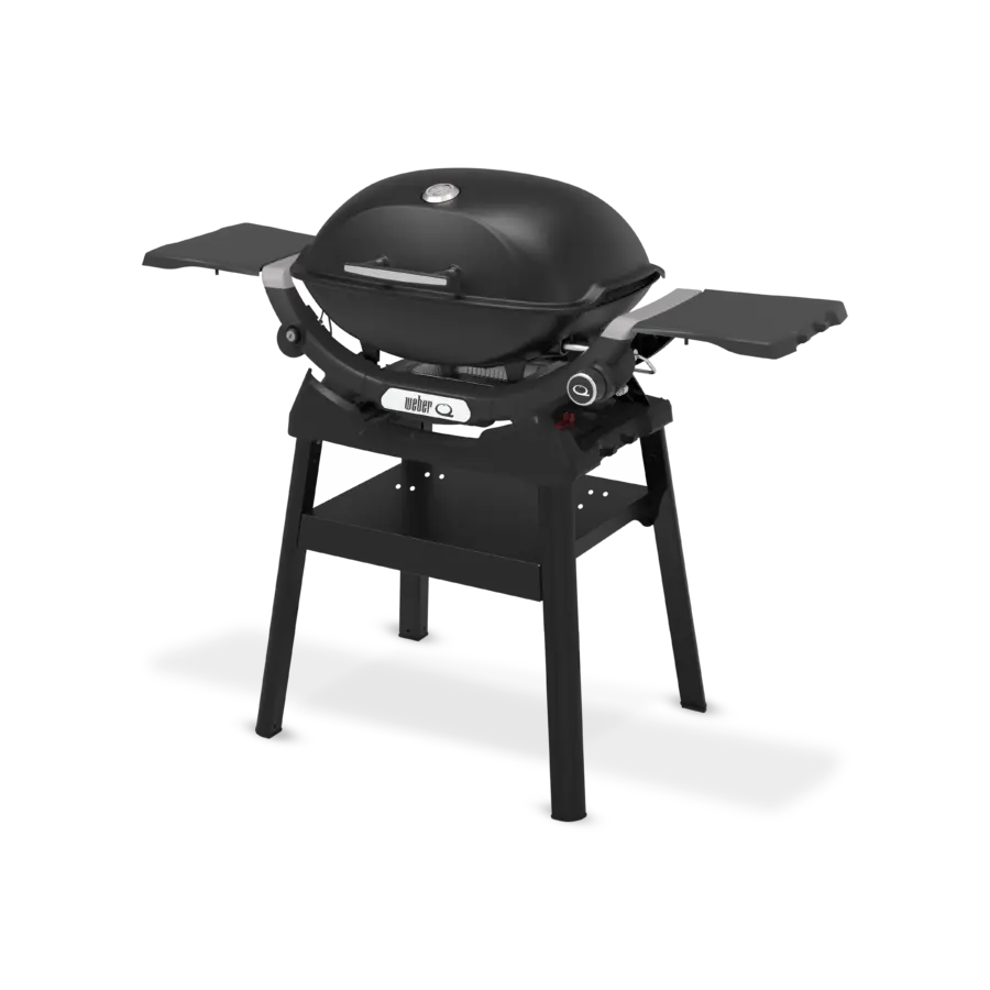 Q2200N Gasgrill