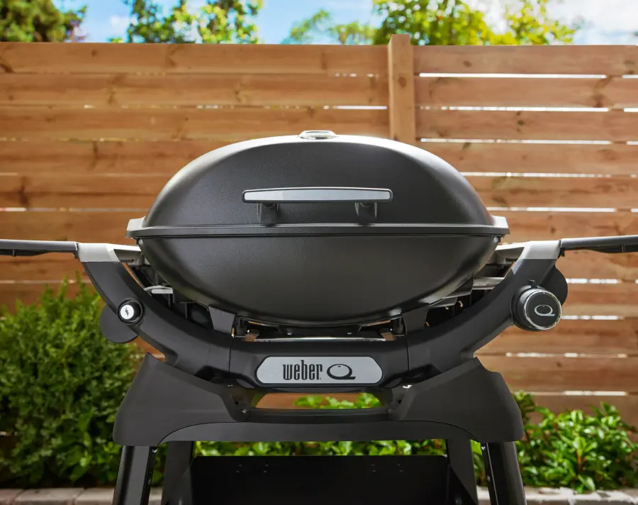 Q2200N Gasgrill