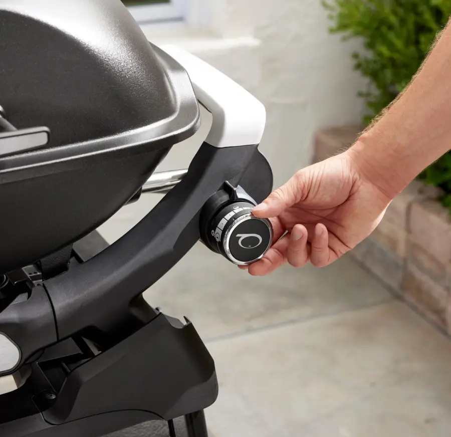 Q2200N Gasgrill