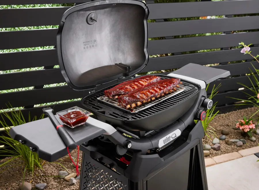 Q2800N+ Gasgrill mit Rollwagen
