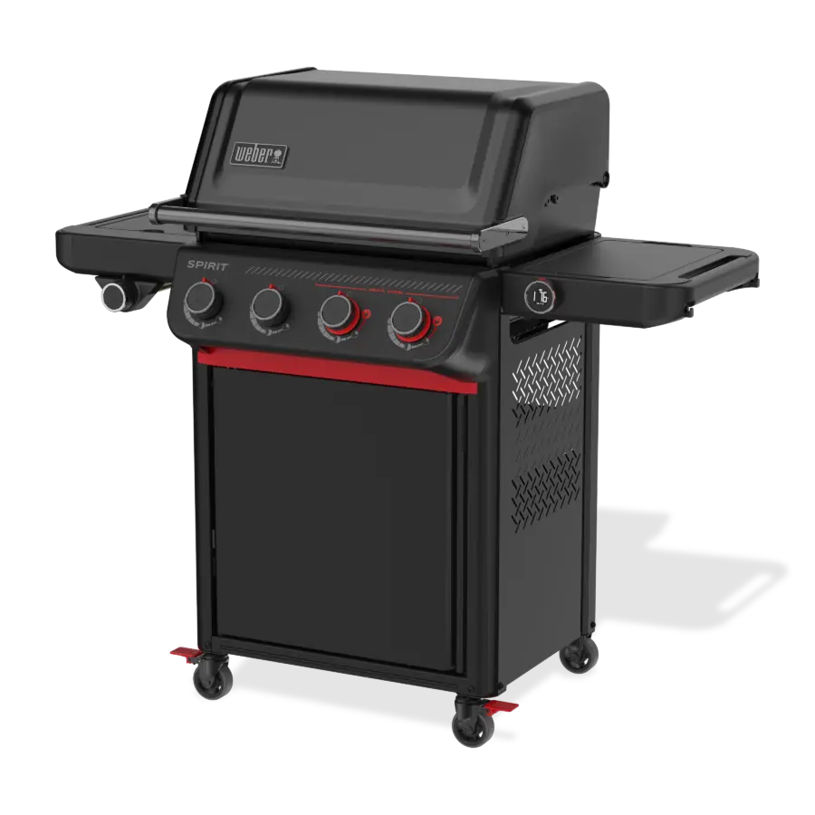 SPIRIT EPX-435R mit Drehspiess