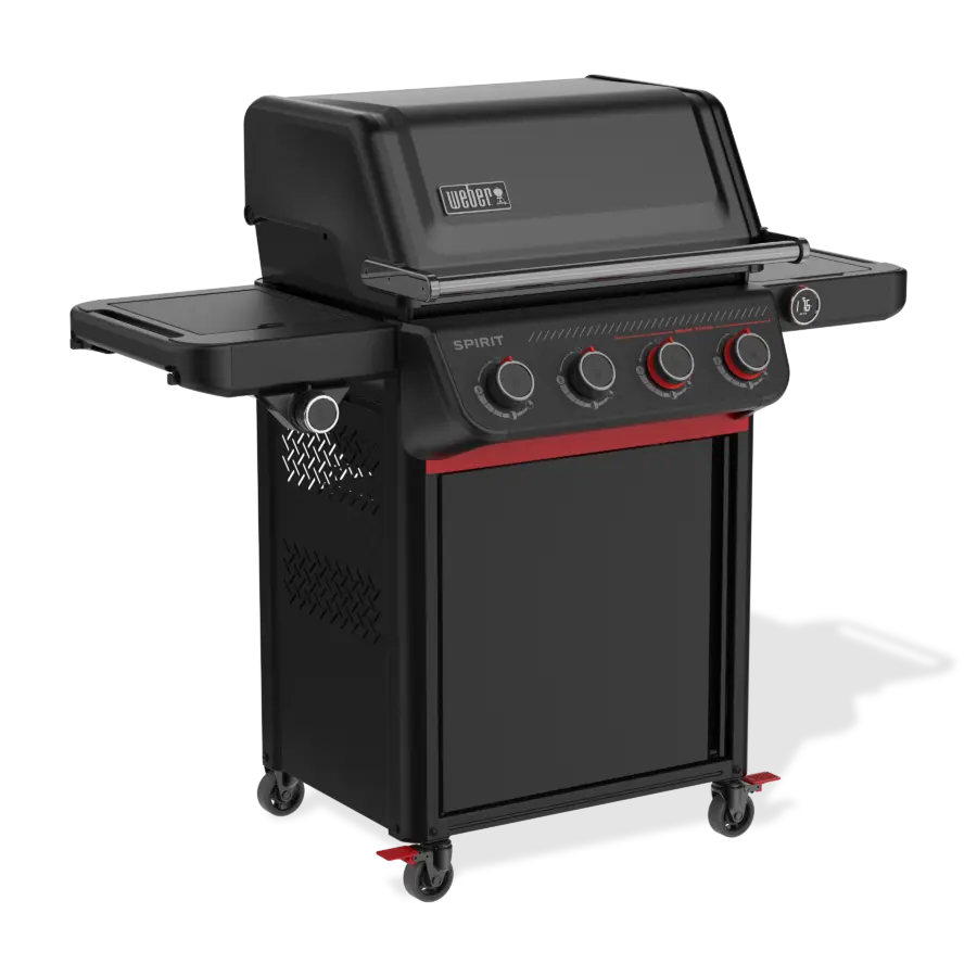 SPIRIT EPX-435R mit Drehspiess