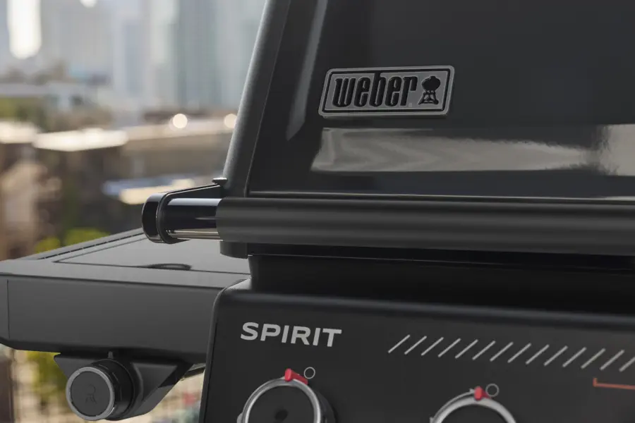 SPIRIT EPX-435R mit Drehspiess